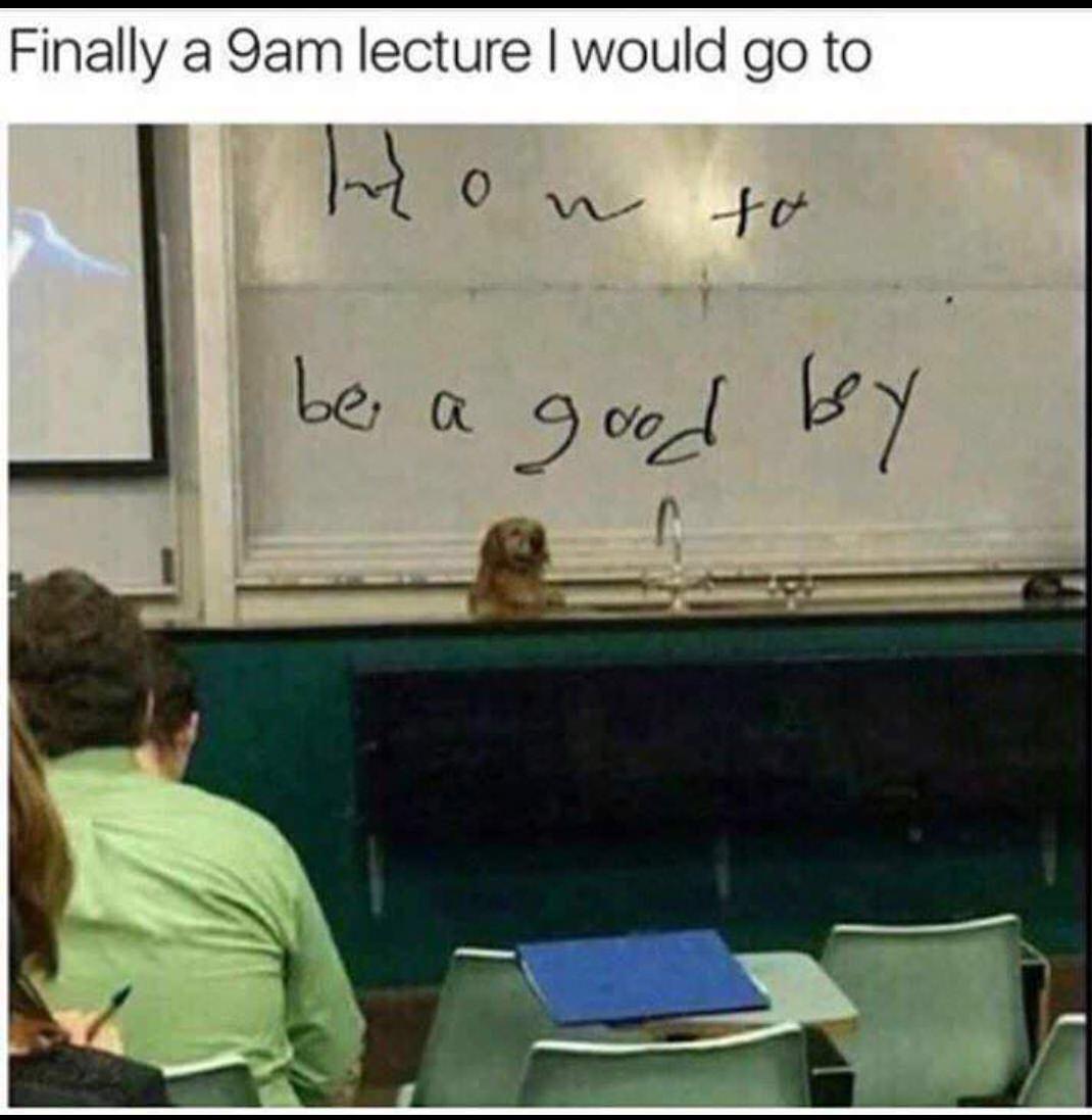 memes - good morning class meme - Finally a 9am lecture I would go to Inhou to be a good by