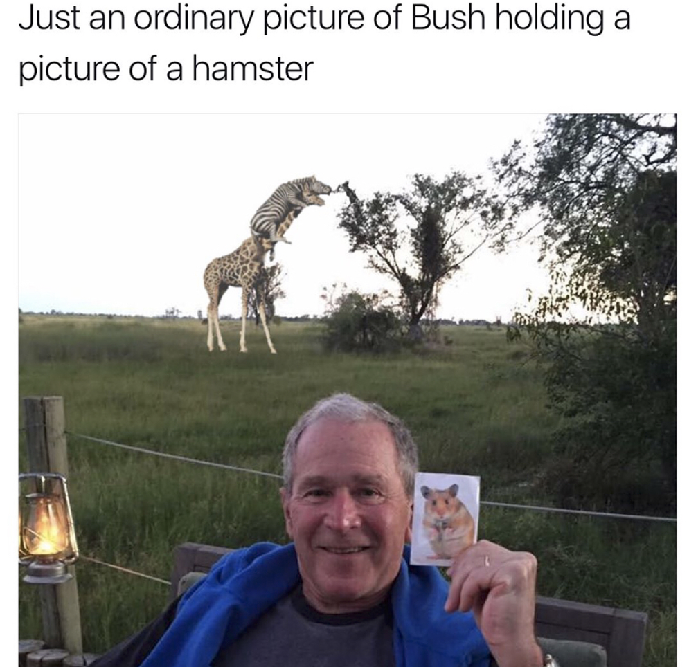 memes - pointless memes - Just an ordinary picture of Bush holding a picture of a hamster