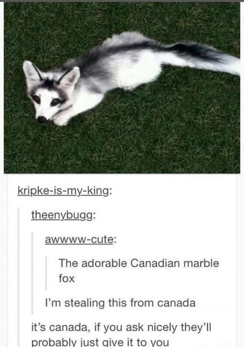 21 Funny Images So Canadian They're Sorry For Bothering You