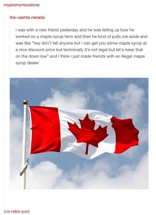 21 Funny Images So Canadian They're Sorry For Bothering You