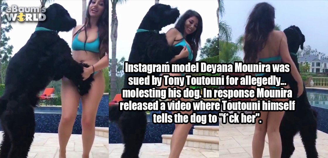 girl - reBaums World Instagram model Deyana Mounira was sued by Tony Toutouni for allegedly... molesting his dog. In response Mounira released a video where Toutouni himself tells the dog to "fck her".