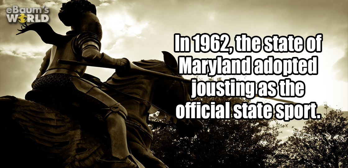funny - eBaum's World In 1962, the state of Maryland adopted jousting as the official.state sport.