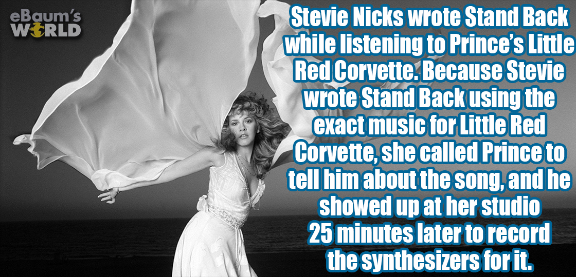 stevie nicks lace - eBaum's World Stevie Nicks wrote Stand Back while listening to Prince's Little Red Corvette. Because Stevie wrote Stand Back using the exact music for Little Red Corvette, she called Prince to tell him about the song and he showed up a