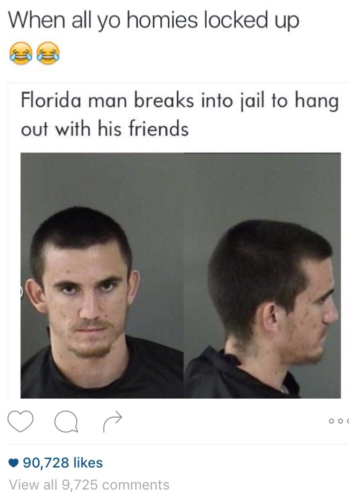tweet - florida man breaks into jail to smoke - When all yo homies locked up Florida man breaks into jail to hang out with his friends a? Oo 90,728 View all 9,725