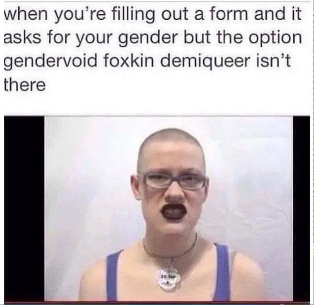 tweet - gendervoid demiqueer - when you're filling out a form and it asks for your gender but the option gendervoid foxkin demiqueer isn't there