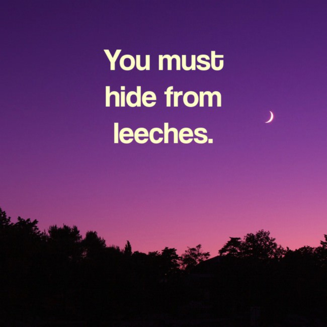 leeches funny quotes - You must hide from leeches.