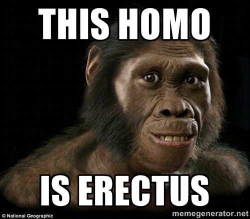 funny thing in the world - This Homo Is Erectus National Geographic memegenerator.net