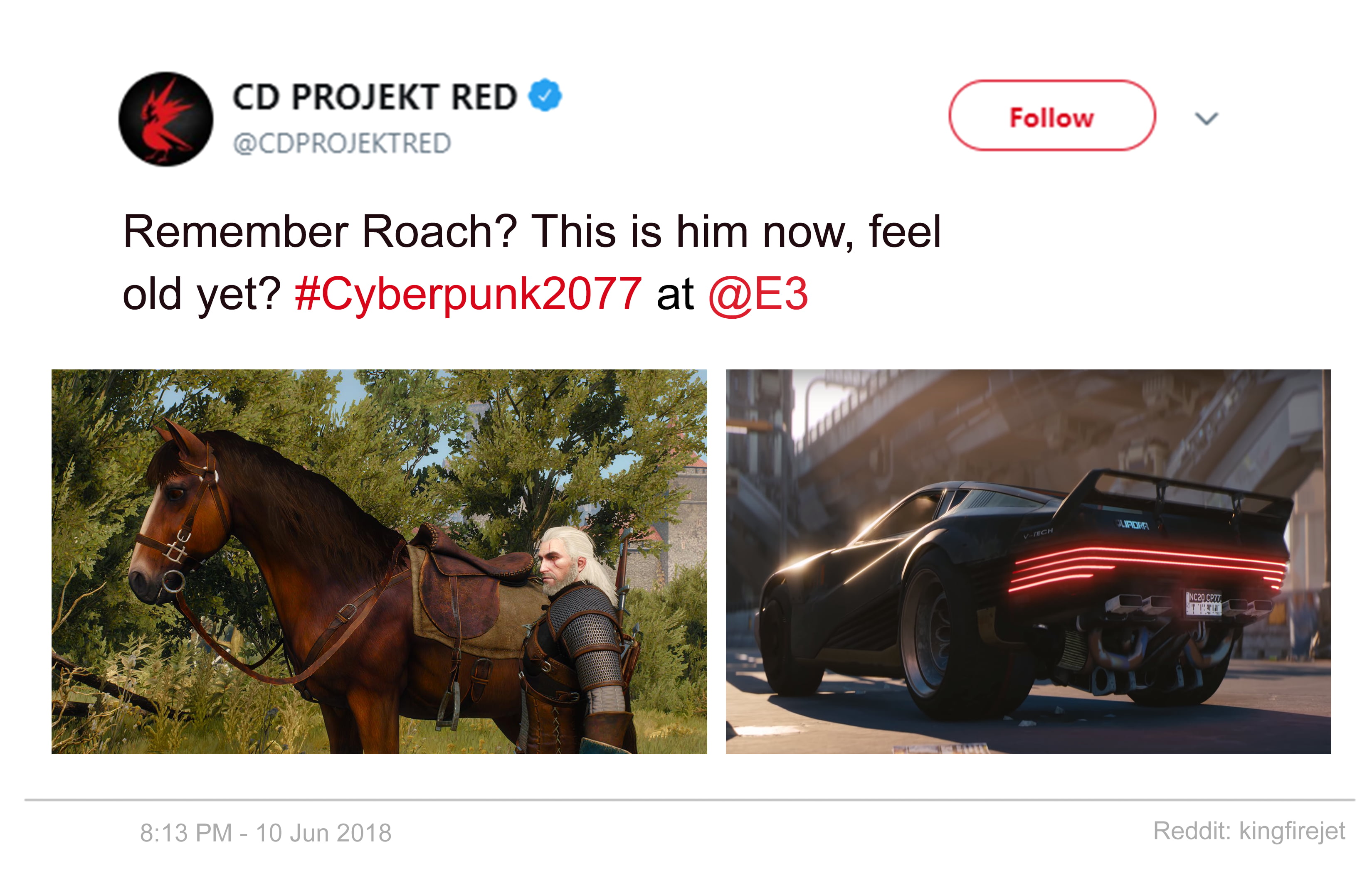 rein - Cd Projekt Red Remember Roach? This is him now, feel old yet? 2077 at Cac Reddit Kingfirejel