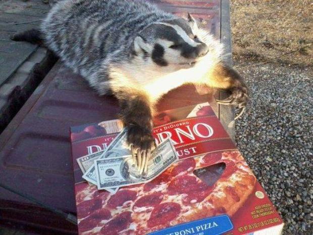 $115 frozen pizza badger
