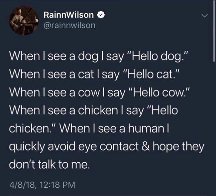 don t want your man - RainnWilson When I see a dog I say "Hello dog." When I see a cat I say "Hello cat." When I see a cow I say "Hello cow." When I see a chicken I say "Hello chicken." When I see a human || quickly avoid eye contact & hope they don't tal