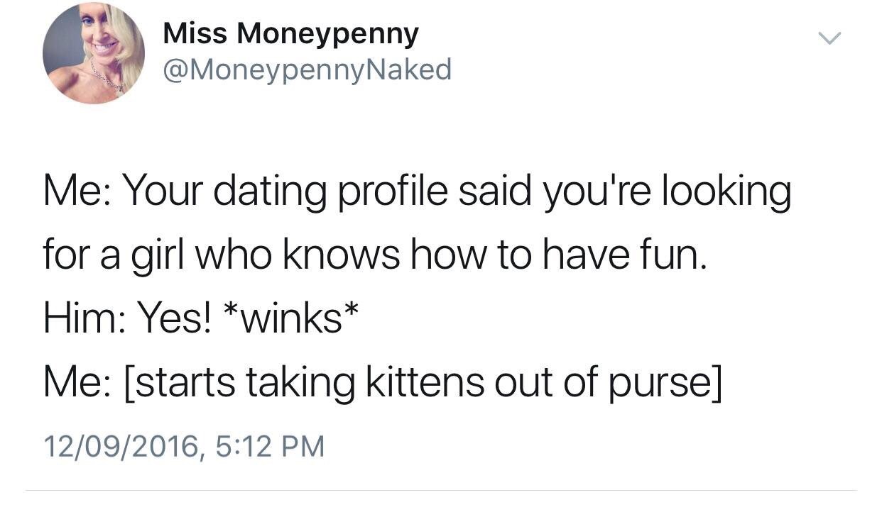 don t need a sugar daddy meme - Miss Moneypenny Me Your dating profile said you're looking for a girl who knows how to have fun. Him Yes! winks Me starts taking kittens out of purse 12092016,