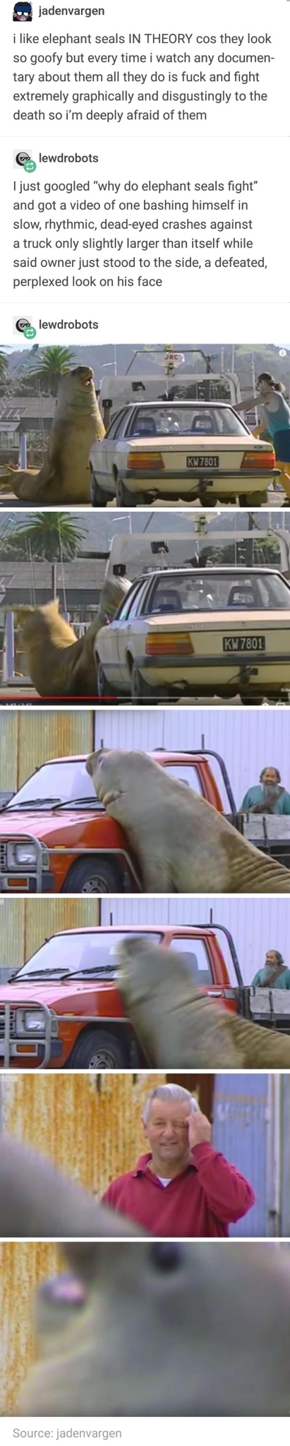 boat - jadenvargen i elephant seals In Theory cos they look so goofy but every time i watch any documen tary about them all they do is fuck and fight extremely graphically and disgustingly to the death so i'm deeply afraid of them e lewdrobots I just goog
