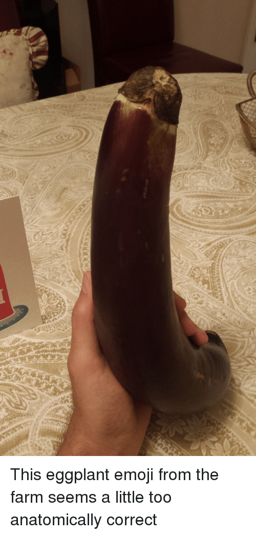 eggplant weird - This eggplant emoji from the farm seems a little too anatomically correct