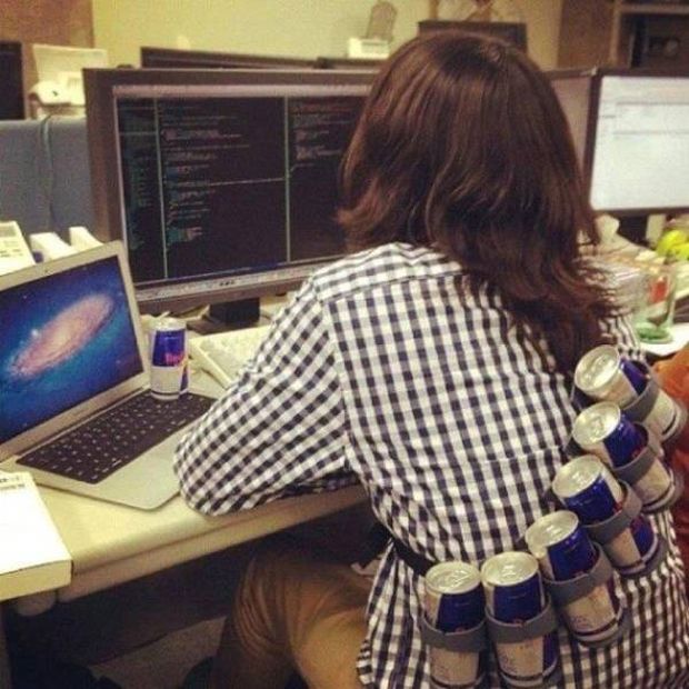 busy programmer