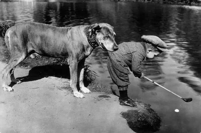 A dog holds onto a little boy as he tries to retrieve a ball in a river with his golf club, 1920s.