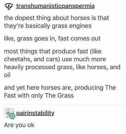 Concept - transhumanisticpanspermia the dopest thing about horses is that they're basically grass engines , grass goes in, fast comes out most things that produce fast cheetahs, and cars use much more heavily processed grass, horses, and oil and yet here 