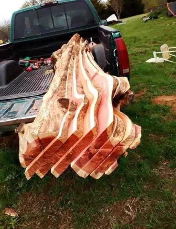 Things That Look Like Bacon That Mericans Love So Much In Time For 4th Of July