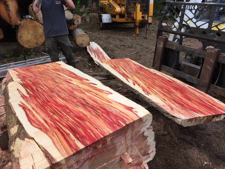 Things That Look Like Bacon That Mericans Love So Much In Time For 4th Of July