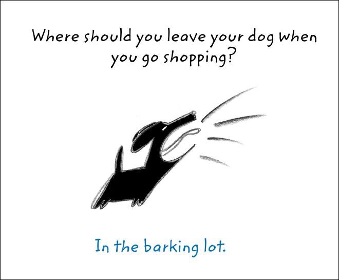 dad jokes -Humour - Where should you leave your dog when you go shopping? In the barking lot.