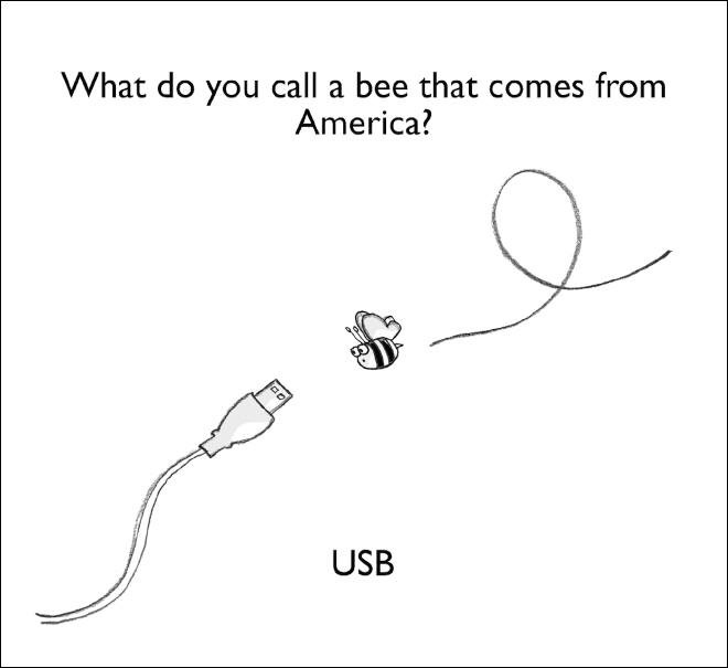 dad jokes -puns funny jokes - What do you call a bee that comes from America? Usb