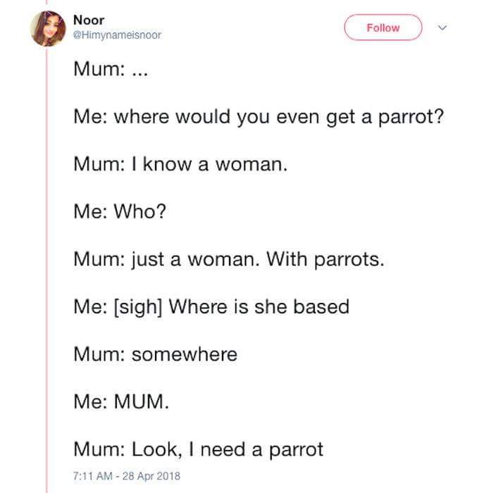 Crazy Birdlady Drags Her Daughter Into A Quest For Secret Parrots