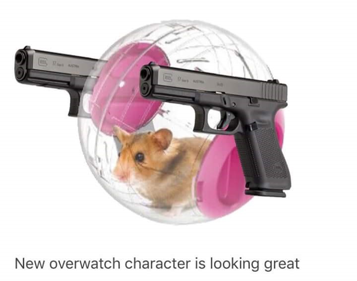 new overwatch character meme - New overwatch character is looking great