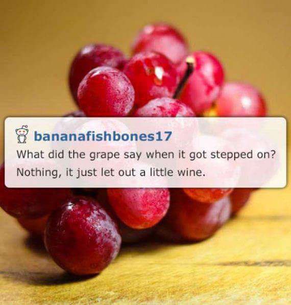 dad jokes - 8 bananafishbones17 What did the grape say when it got stepped on? Nothing, it just let out a little wine.