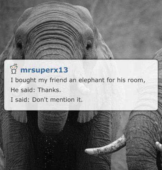 dad jokes - elephant backgrounds black and white - 8 mrsuperx13 I bought my friend an elephant for his room, He said Thanks. I said Don't mention it.