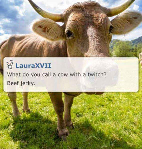 dad jokes - corny jokes - LauraXVII What do you call a cow with a twitch? Beef jerky.