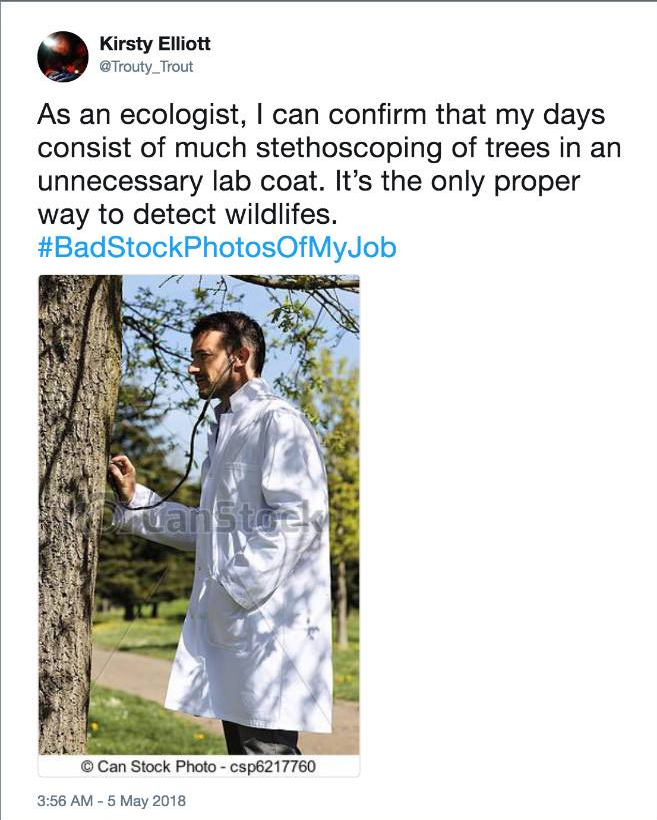ecologist stock - Kirsty Elliott Trouty_Trout As an ecologist, I can confirm that my days consist of much stethoscoping of trees in an unnecessary lab coat. It's the only proper way to detect wildlifes. Can Stock Photo csp6217760