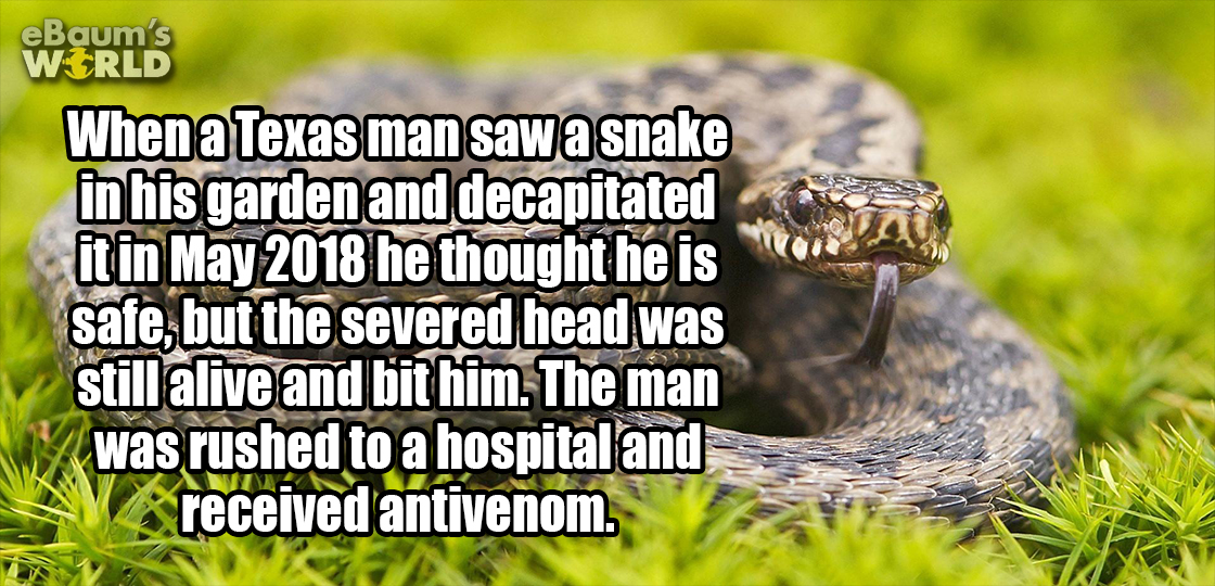 20 Fascinating Facts That Will Blow Your Lid Off