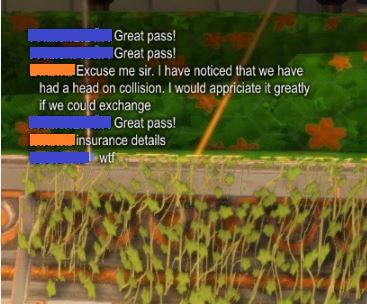 nature - Great pass! Great pass! Excuse me sir. I have noticed that we have had a head on collision. I would appriciate it greatly if we could exchange Great pass! insurance details