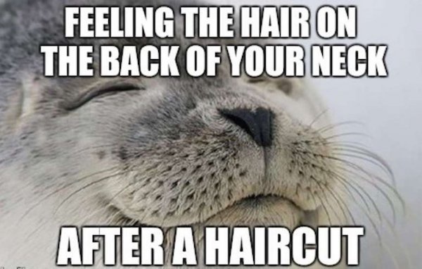 game society pimps memes - Feeling The Hair On The Back Of Your Neck After A Haircut