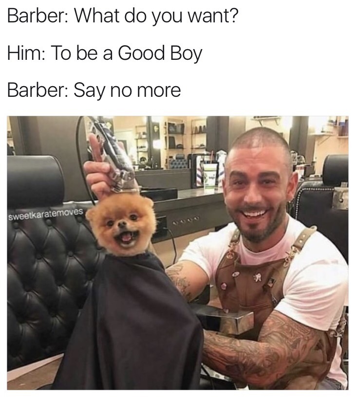 wholesome meme sweet karate moves - Barber What do you want? Him To be a Good Boy Barber Say no more sweetkaratemoves