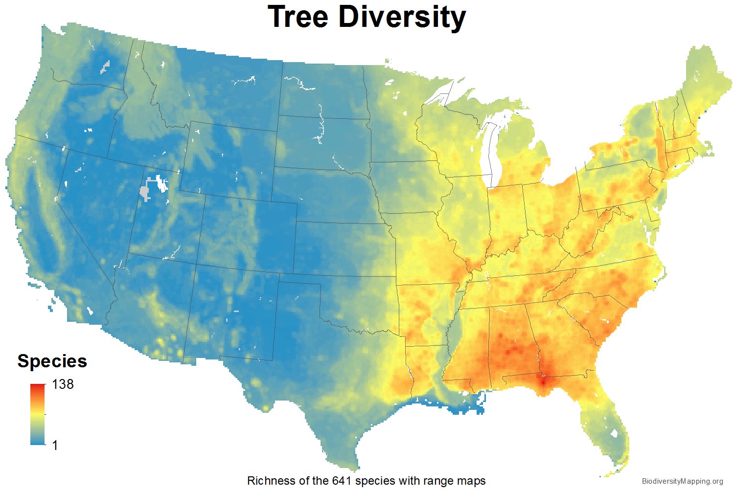 Fascinating Statistics About The US of A