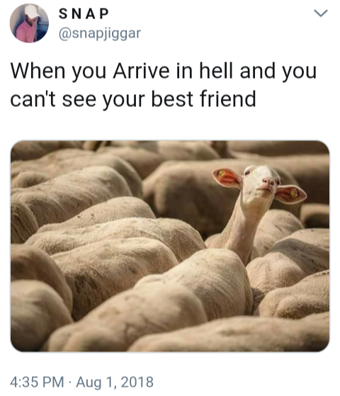 you arrive in hell - Snap When you Arrive in hell and you can't see your best friend