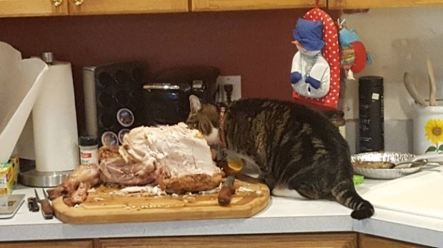 "No turkey for you!"