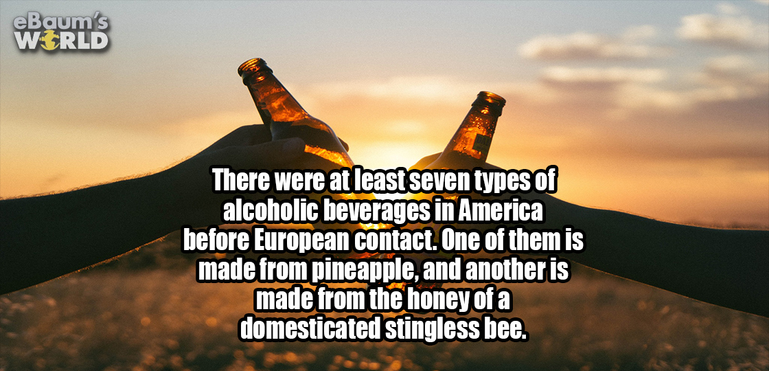 sky - eBaum's World There were at least seven types of alcoholic beverages in America before European contact. One of them is made from pineapple, and another is made from the honey of a domesticated stingless bee.