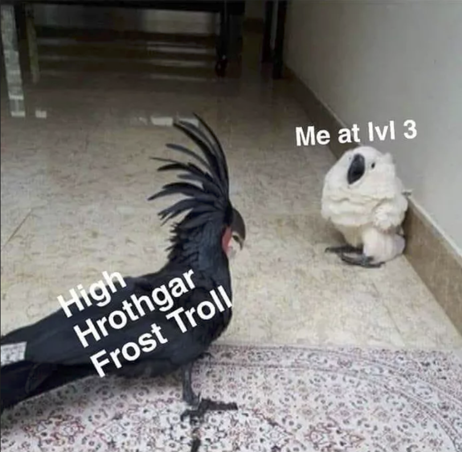 goth girl yelling at me meme - Me at lvl 3 High Hrothgar Frost Troll