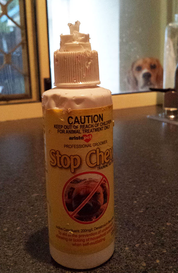 most ironic - Caution Ach Of Chloe Keep Out Of Reach Of Ch For Animal Treatment aristo pet Professional Groolex Stop che bent 200ml the prevention ng or licking of hou When set bong