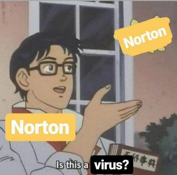 norton meme - Norton Norton Is this a virus?