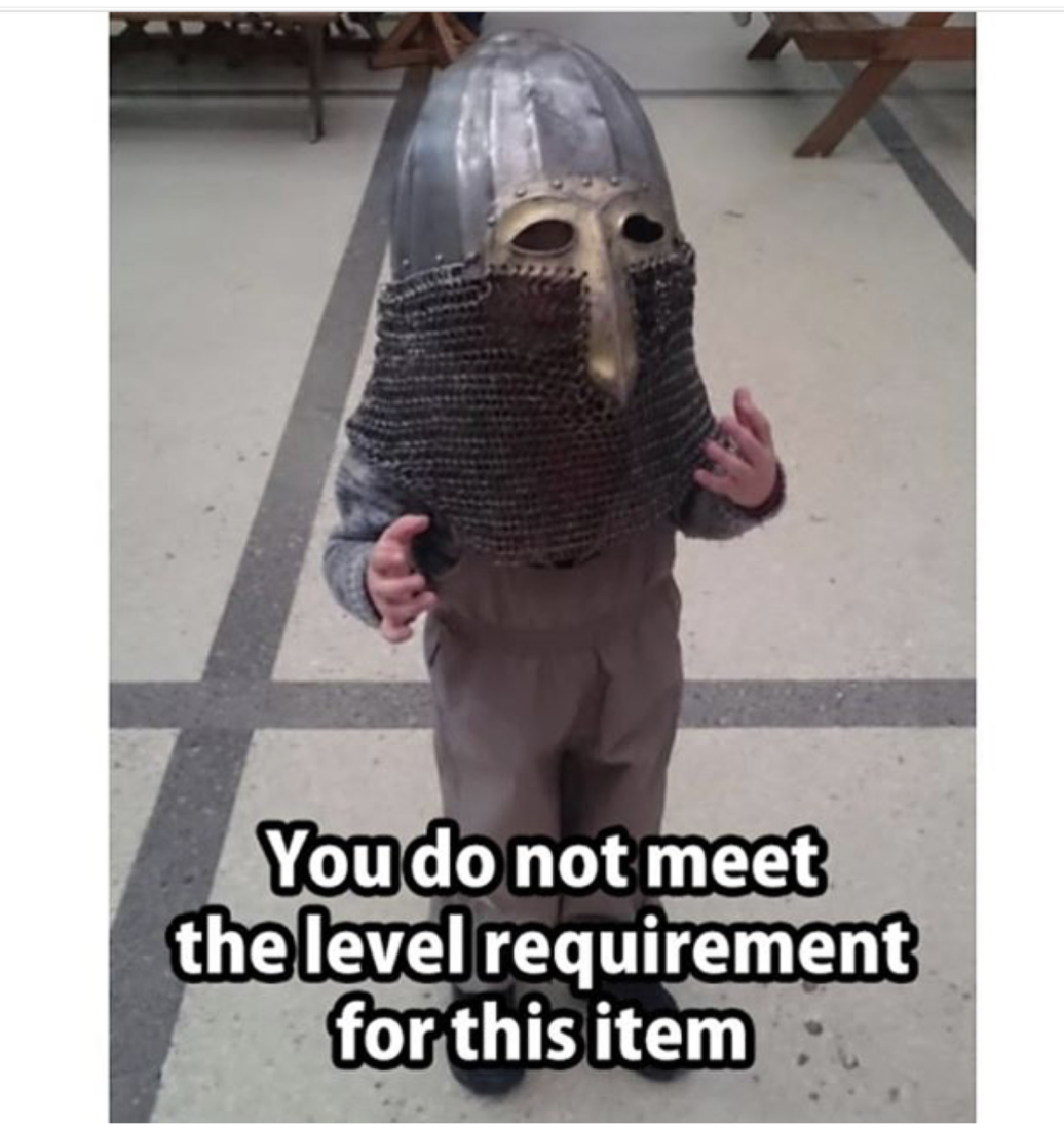 gaming meme funny - You do not meet the level requirement for this item