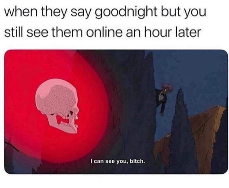 can see you bitch meme - when they say goodnight but you still see them online an hour later I can see you, bitch.