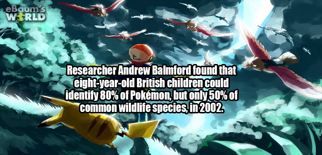 pokemon wallpaper 4k - eBaum's Wrld Researcher Andrew Balmford found that eightyearold British children could identify 80% of Pokmon, but only 50% of common wildlife species, in 2002,