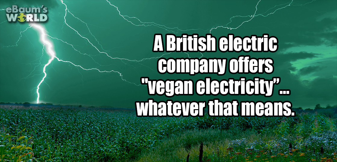 whale whale what do we - eBaum's Wrld A British electric company offers "vegan electricity"... whatever that means.