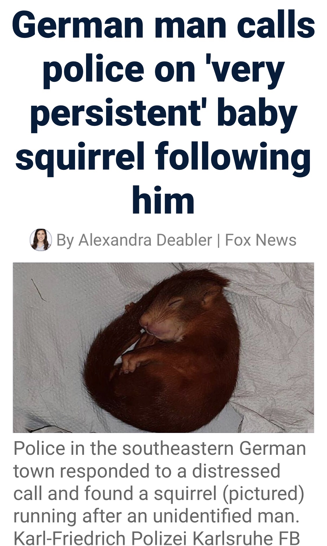 German Man Calls Police And Runs For His Life From A... Baby Squirrel?