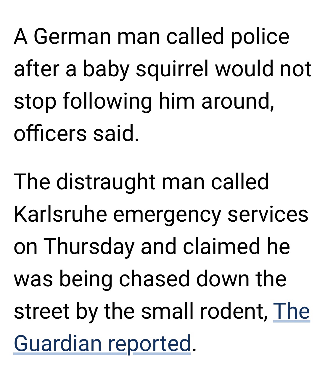 German Man Calls Police And Runs For His Life From A... Baby Squirrel?