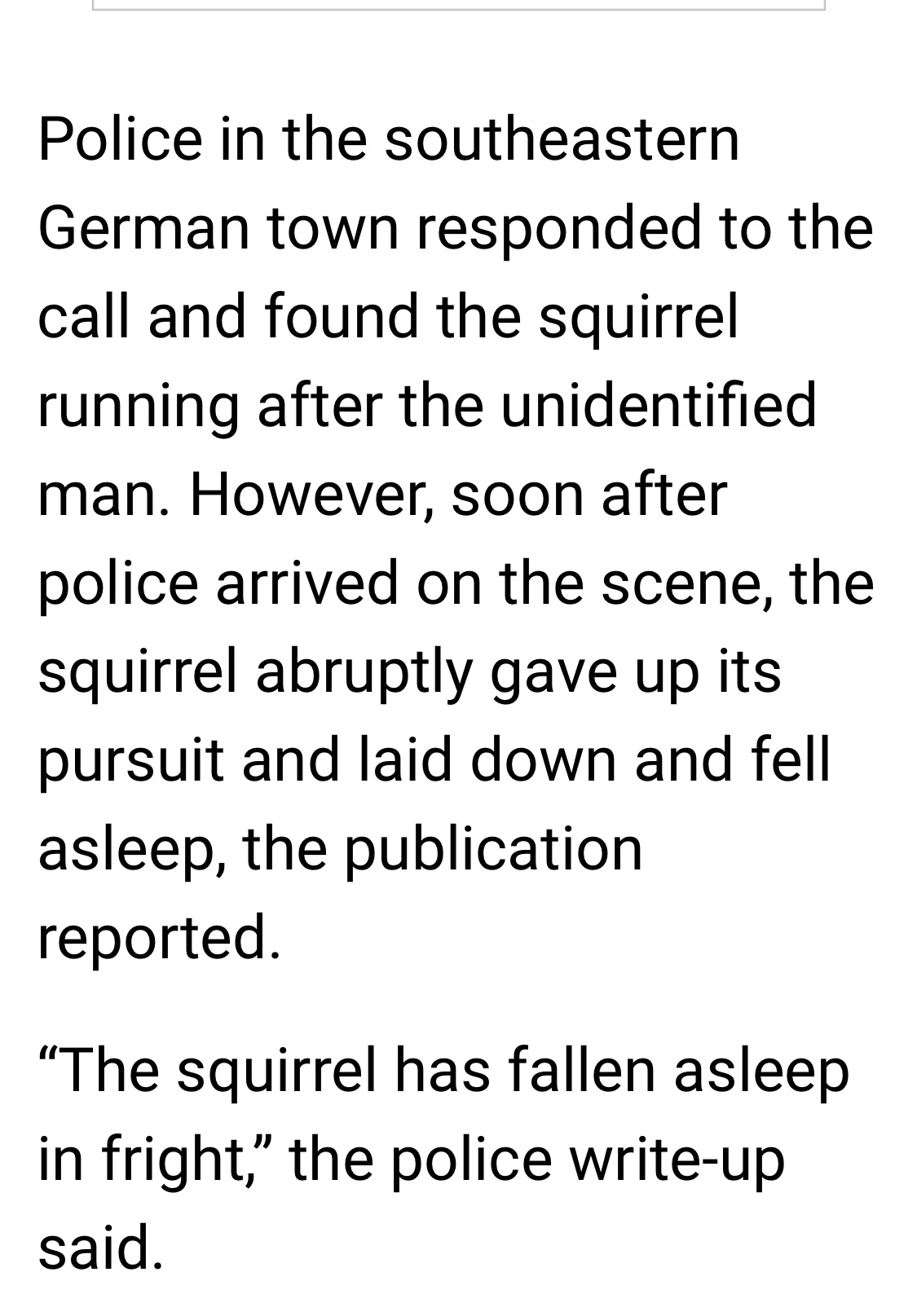 German Man Calls Police And Runs For His Life From A... Baby Squirrel?