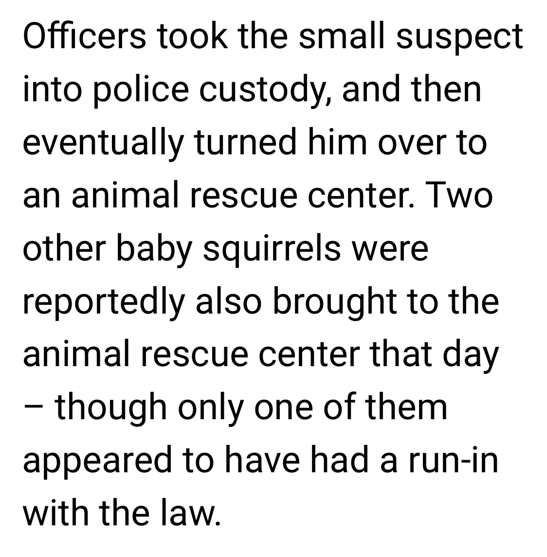 German Man Calls Police And Runs For His Life From A... Baby Squirrel?