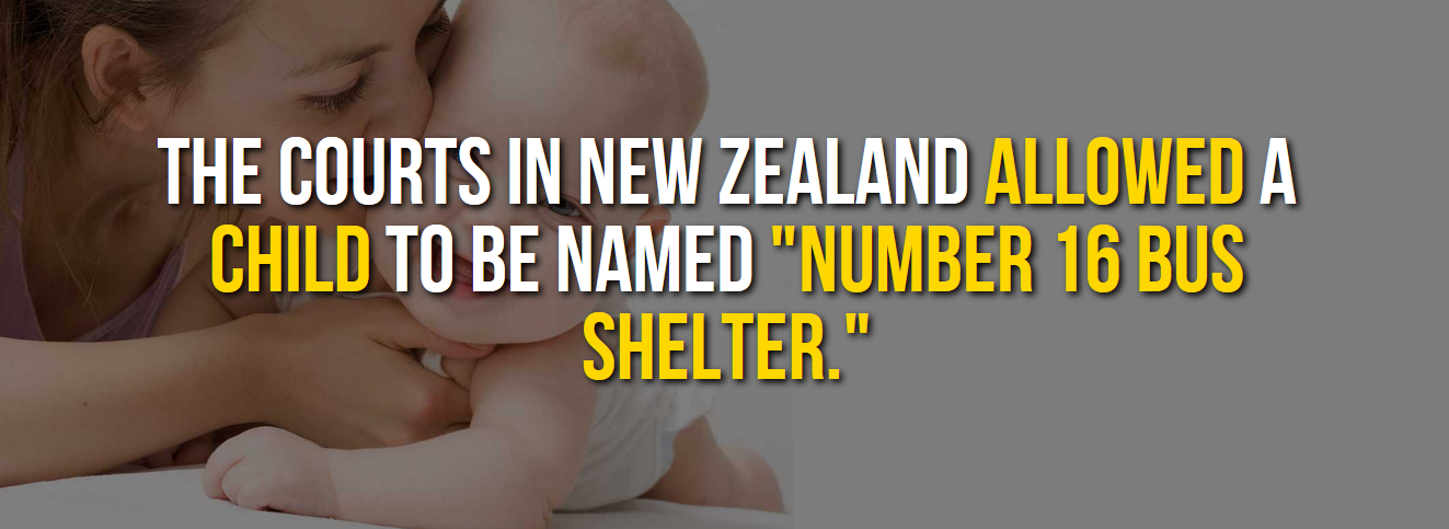 23 Fascinating Facts About New Zealand That Will Make Your Blood Boil